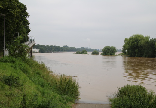 Hafen Niehl